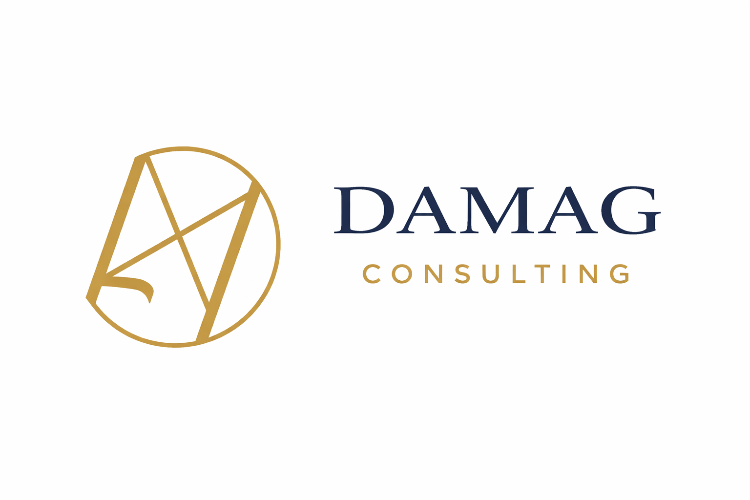 DAMAG Consulting